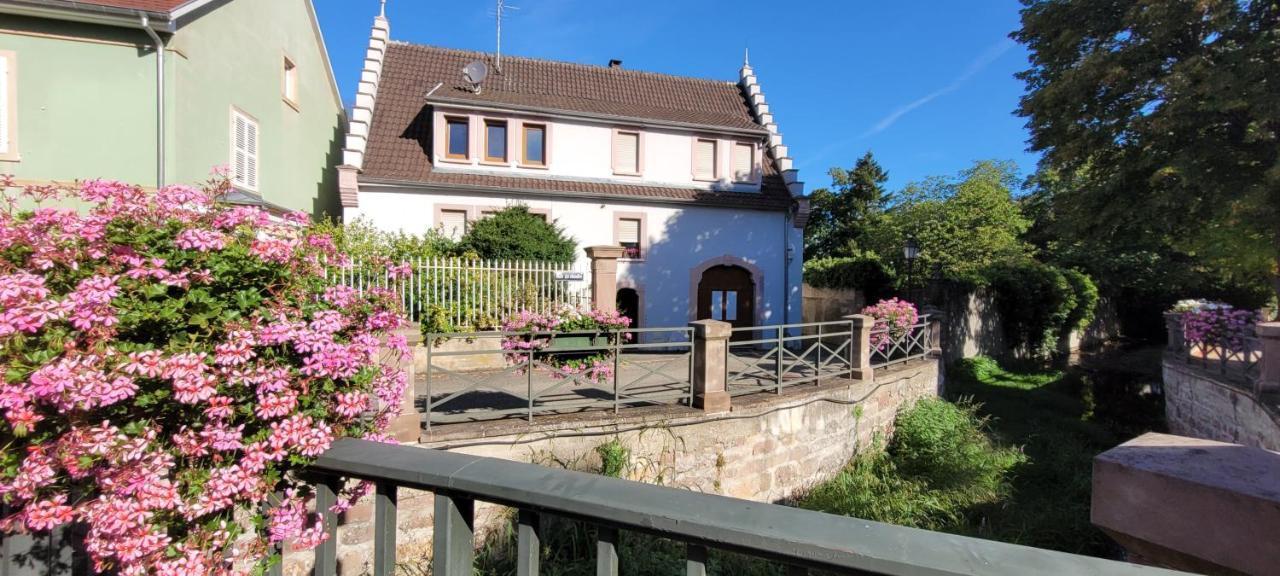 Le Cocon Du Rimbach Apartment Soultz-Haut-Rhin Exterior photo