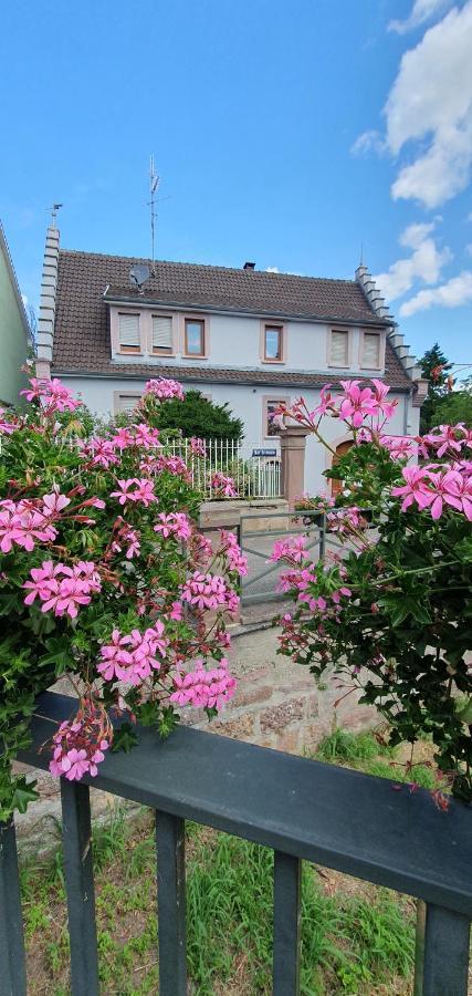 Le Cocon Du Rimbach Apartment Soultz-Haut-Rhin Exterior photo
